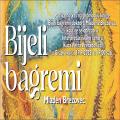 Mladen Brezovac: Bijeli bagremi - predstavljanje zbirke pjesama